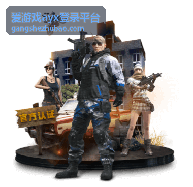 爱游戏ayx登录平台密码找回步骤封面