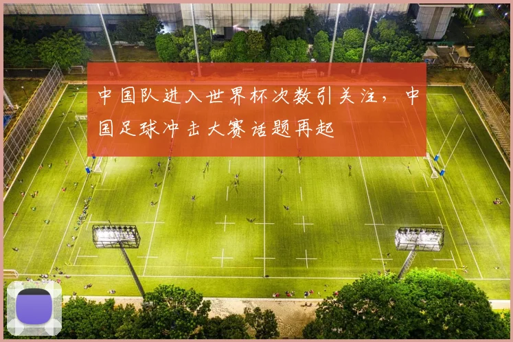 中国队进入世界杯次数引关注,中国足球冲击大赛话题再起